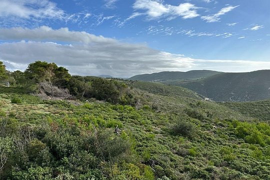 Tour image 6